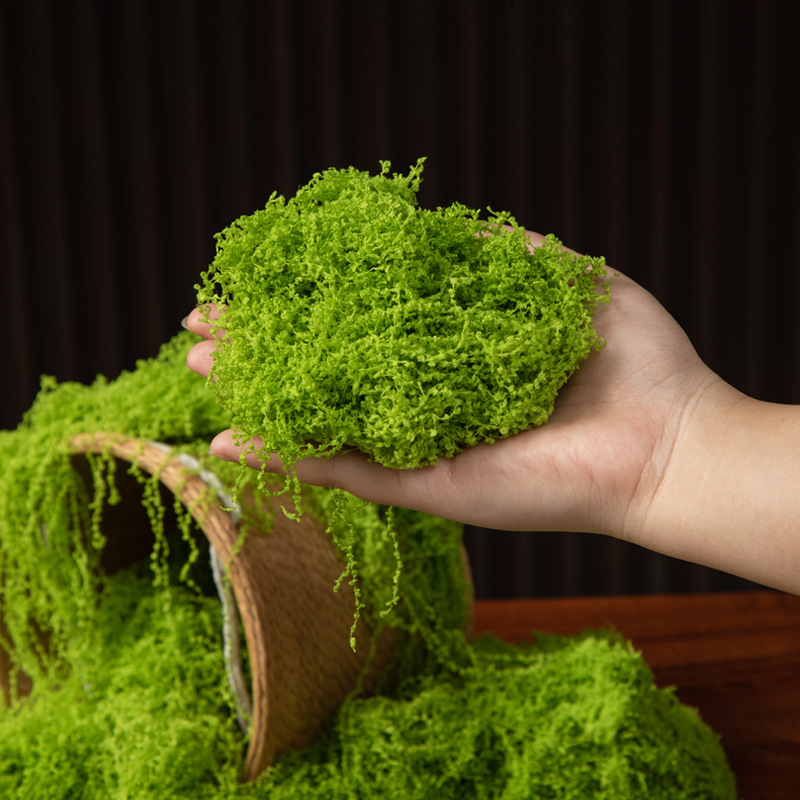 200g Eternal Life Moss DIY Cra - Terrarium Moss Art recension och pris