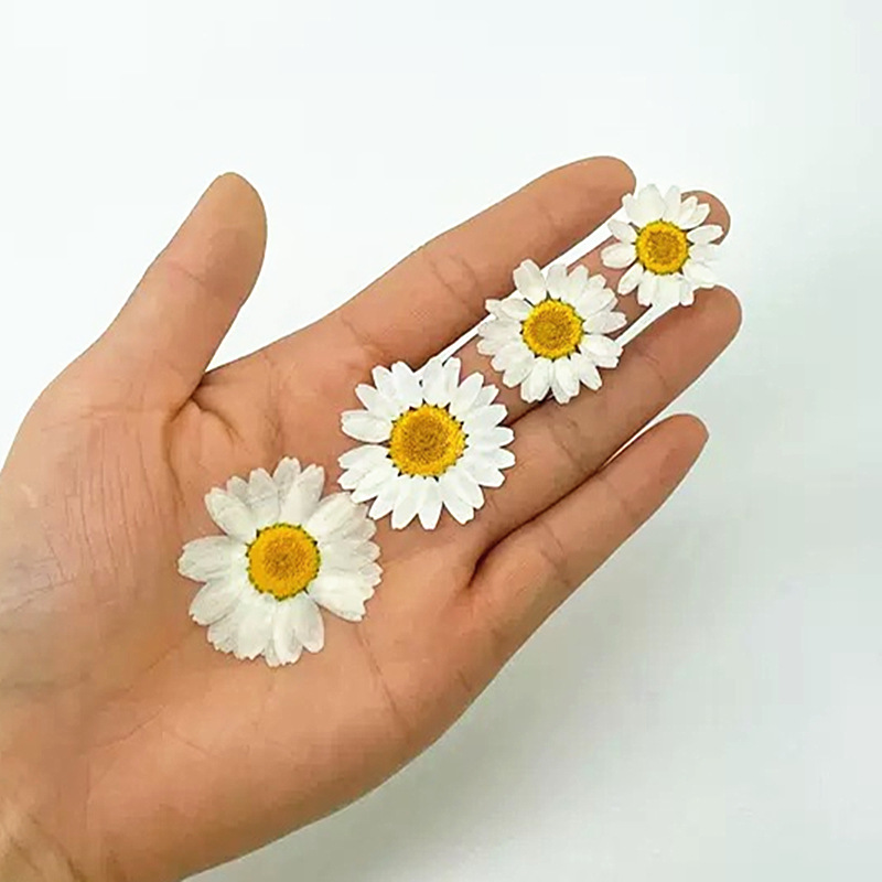 100Pcs Natural White Crystal C - Resin Craft Ideas recension och pris